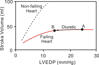 Effects of diuretics on ventricular stroke volume in failing hearts effects of a diuretic on ventricular stroke volume in heart failure patients