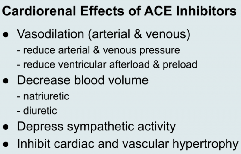 Cardiorenal effects of ACE inhibitors